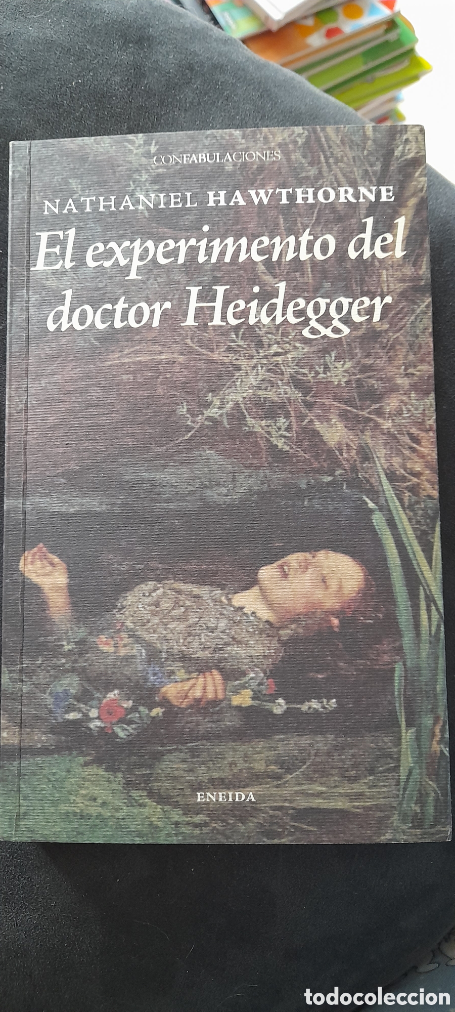 Libros: El experimento del doctor Heidegger. Nathaniel Hawthorne - Foto 1