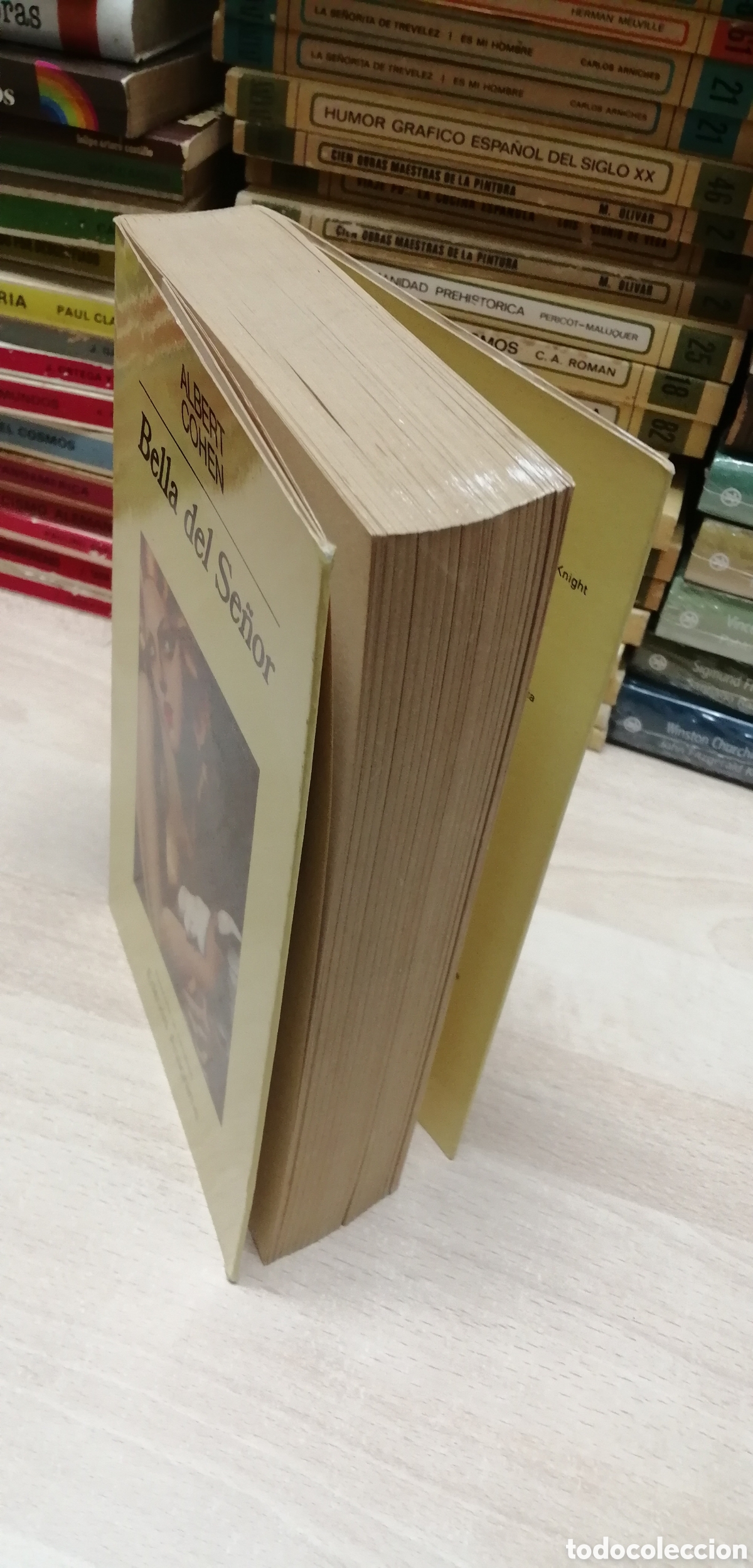Libros: Bella del se&ntilde;or Albert Cohen Editorial Anagrama N&deg;100 - Foto 3