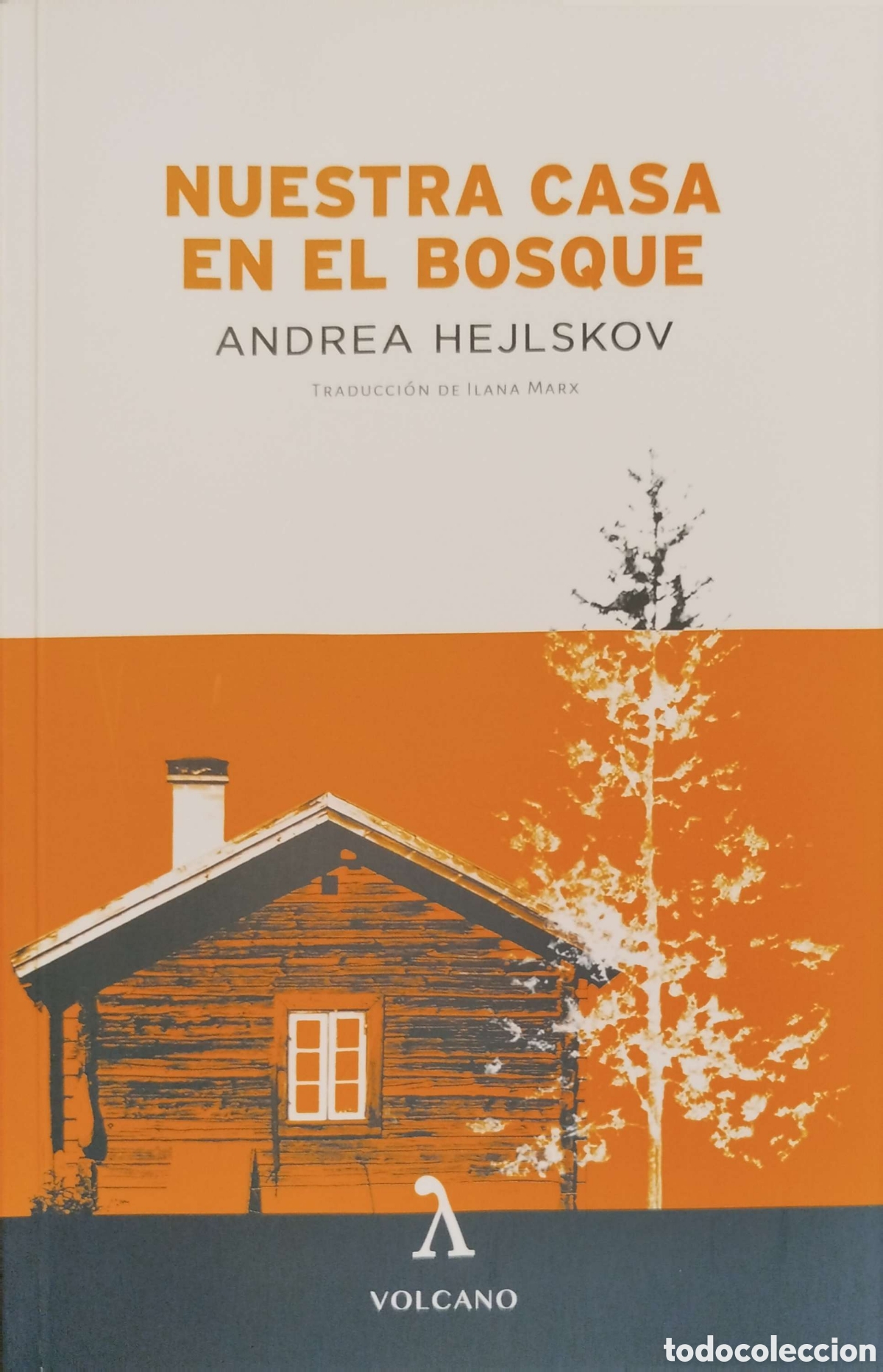 Libros: Nuestra casa en el bosque. Andrea Hejlskov. Volcano. 2018. - Foto 1