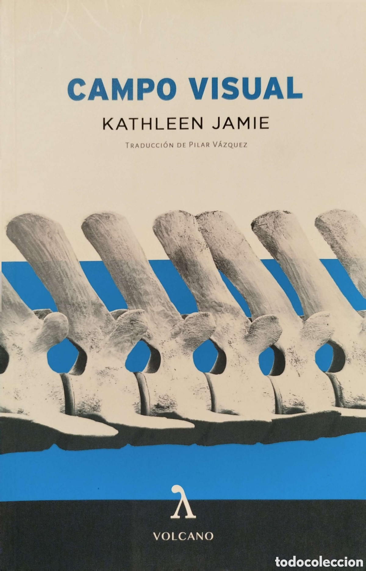 Libros: Campo visual. Kathleen Jamie. Volcano. 2018. - Foto 1