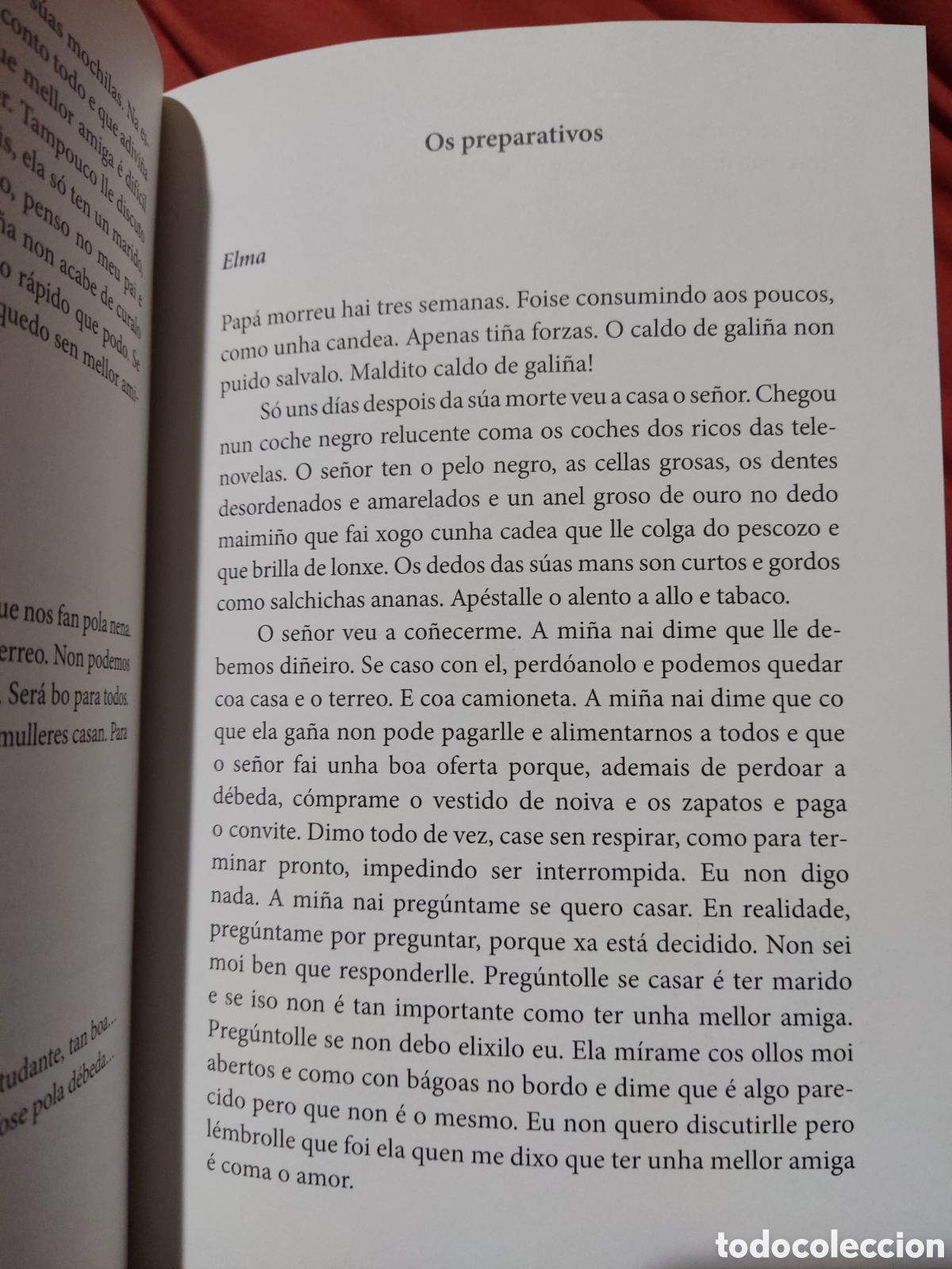 Libros: Ti non sabes o que e ser escritora - Foto 4