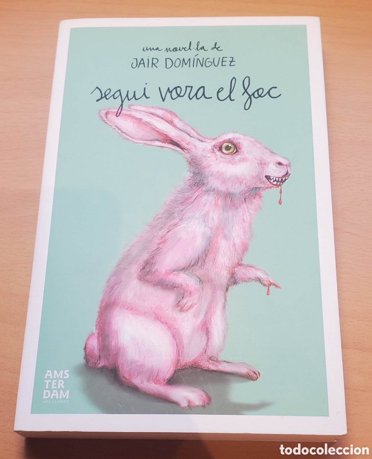 Libros: Segui vora el foc - Jair Dom&iacute;nguez - Foto 1