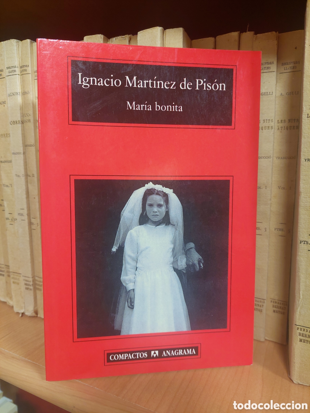 Libros: Mar&iacute;a bonita. Ignacio Mart&iacute;nez de Pis&oacute;n - Foto 1
