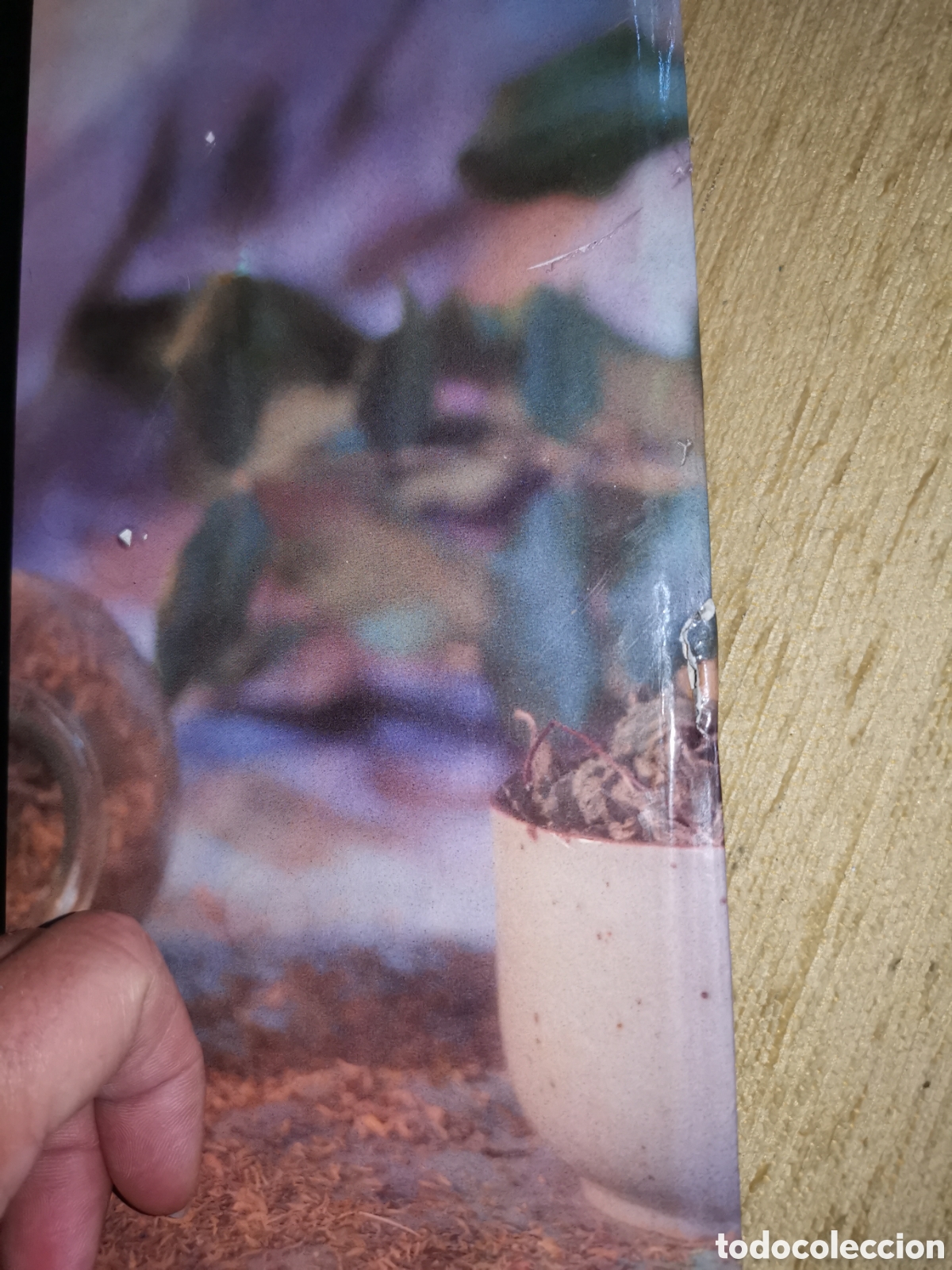 Libros: Libro, el mate, colecci&oacute;n sakai, a&ntilde;o 1992 - Foto 2