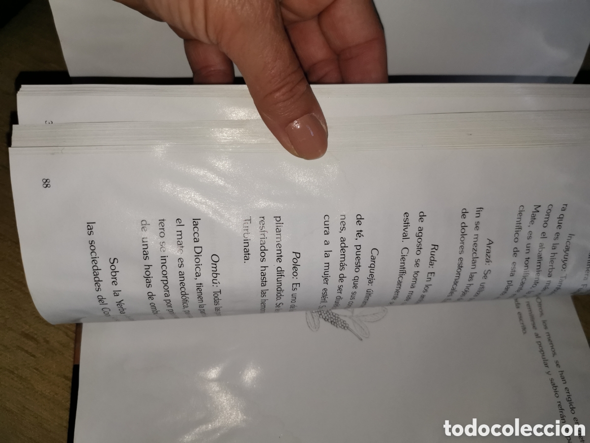 Libros: Libro, el mate, colecci&oacute;n sakai, a&ntilde;o 1992 - Foto 7