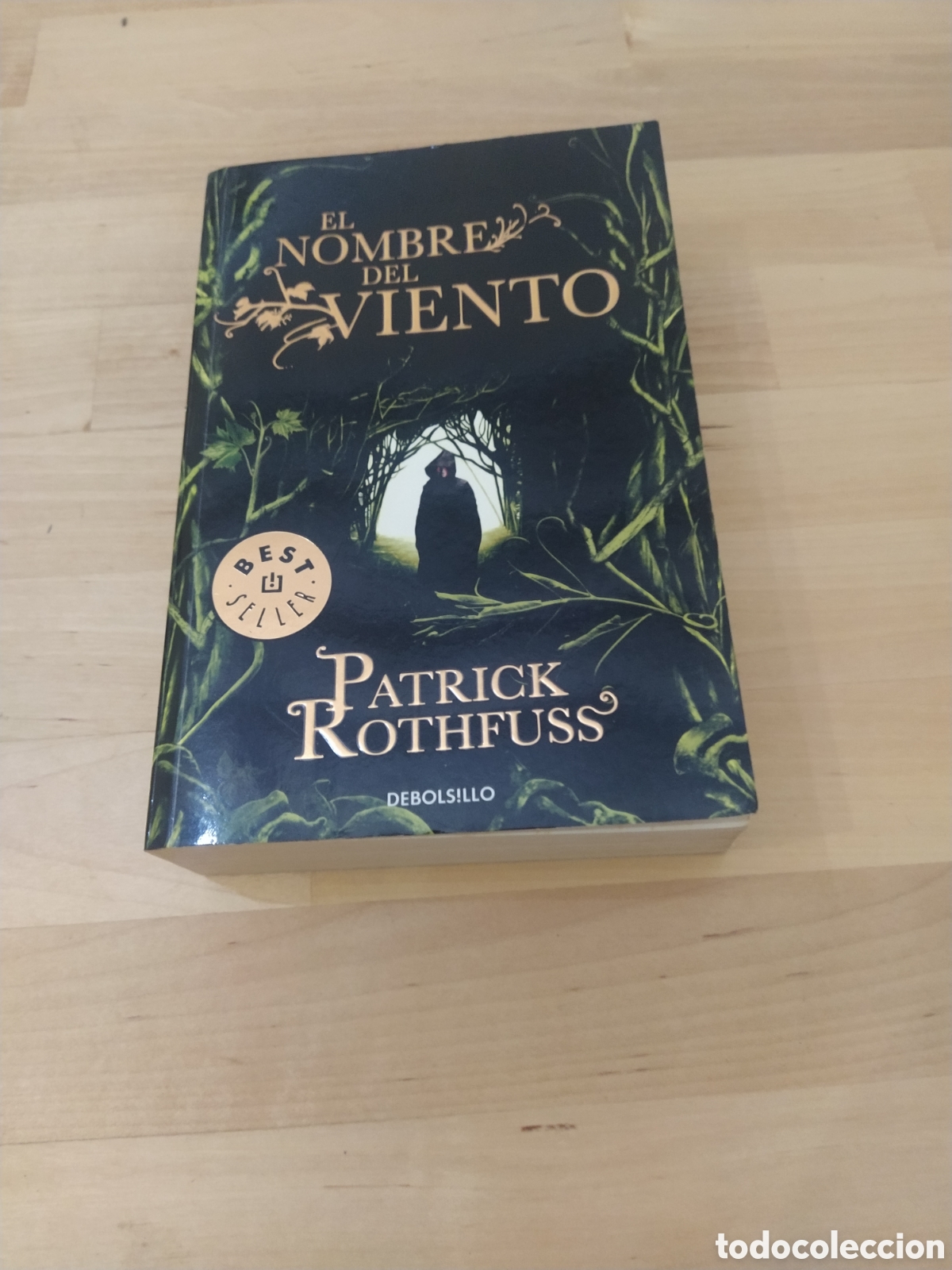 Libros: EL NOMBRE DEL VIENTO - PATRICK ROTHFUSS - Foto 1