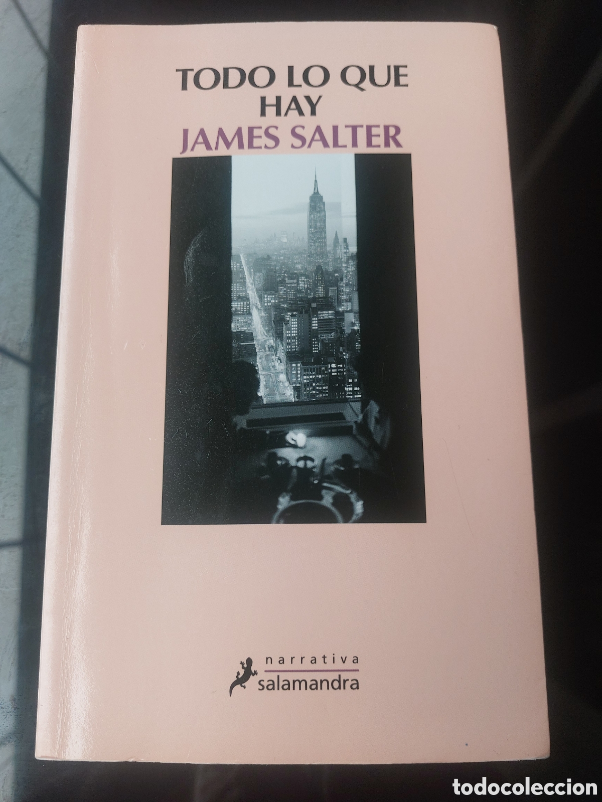 Libros: Todo lo que hay, de James Salter - Foto 1