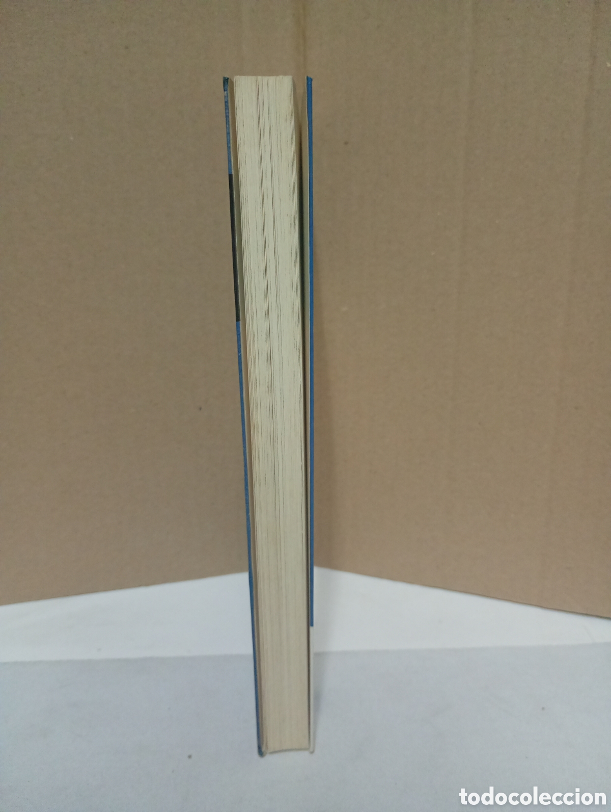 Libros: C&oacute;mplices de ciudad de Robert Saladrigas - Foto 4