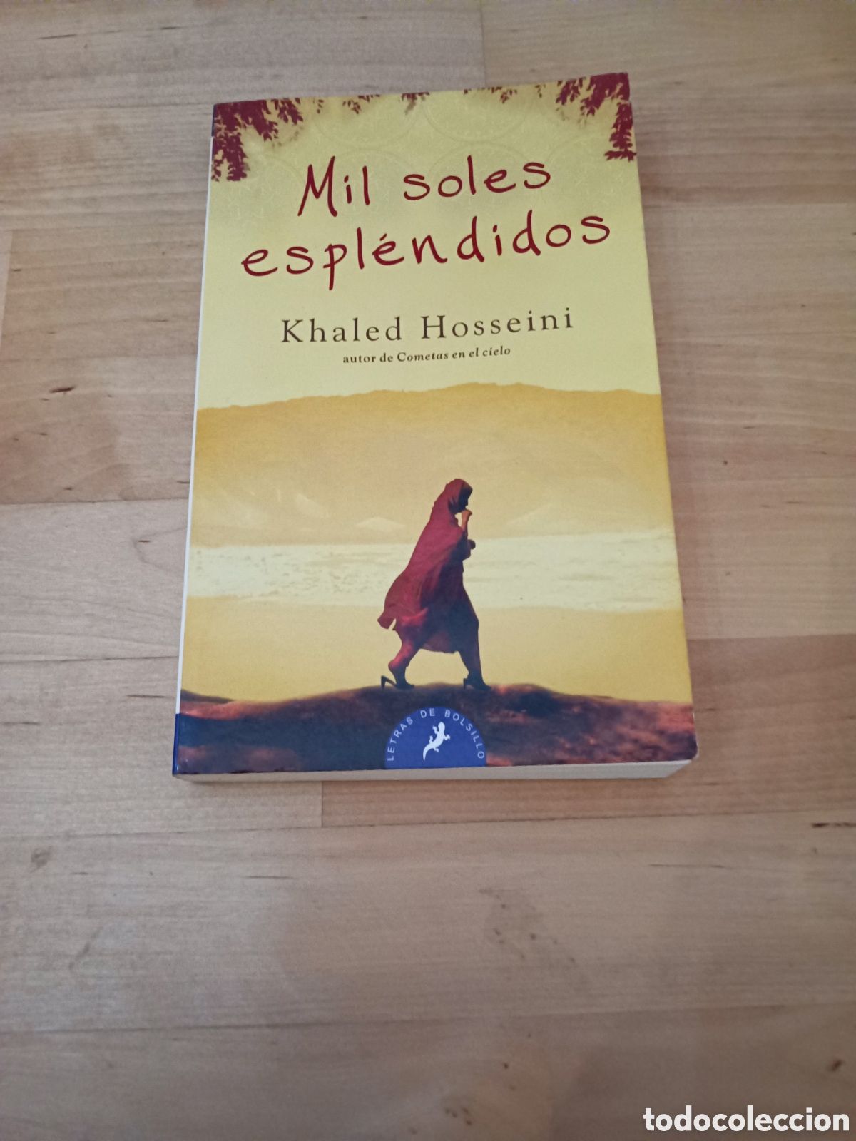 Libros: MIL SOLES ESPL&Eacute;NDIDOS - KHALED HOSSEINI - Foto 1