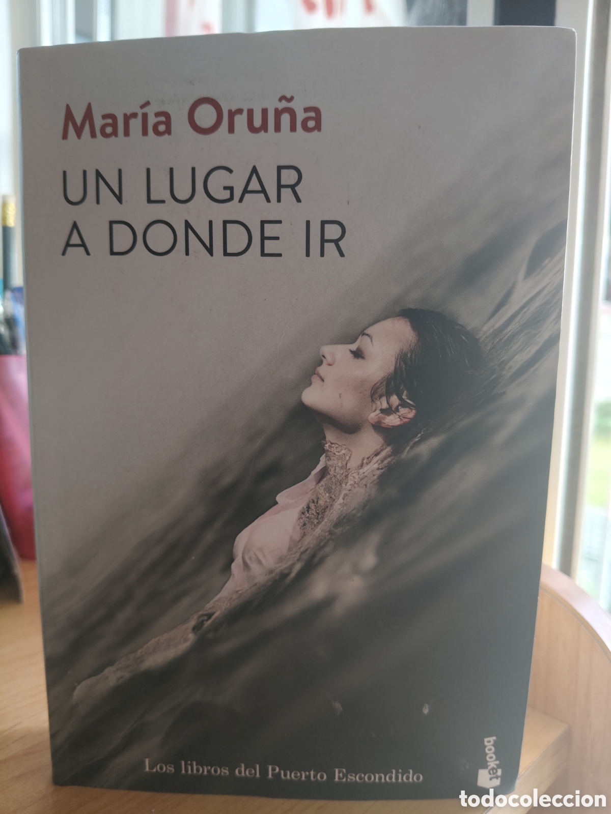 Libros: Un lugar a donde ir de Mar&iacute;a oru&ntilde;a