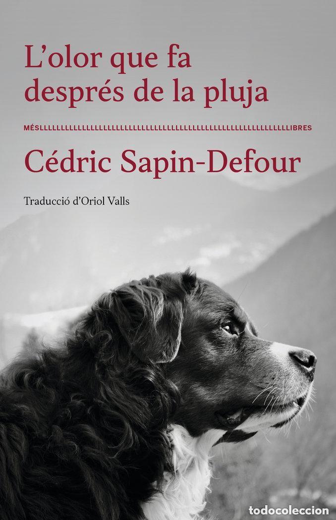 Libros: L'OLOR QUE FA DESPR&Eacute;S DE LA PLUJA. C&eacute;dric Sapin-Defour. Mesllibres. 2024