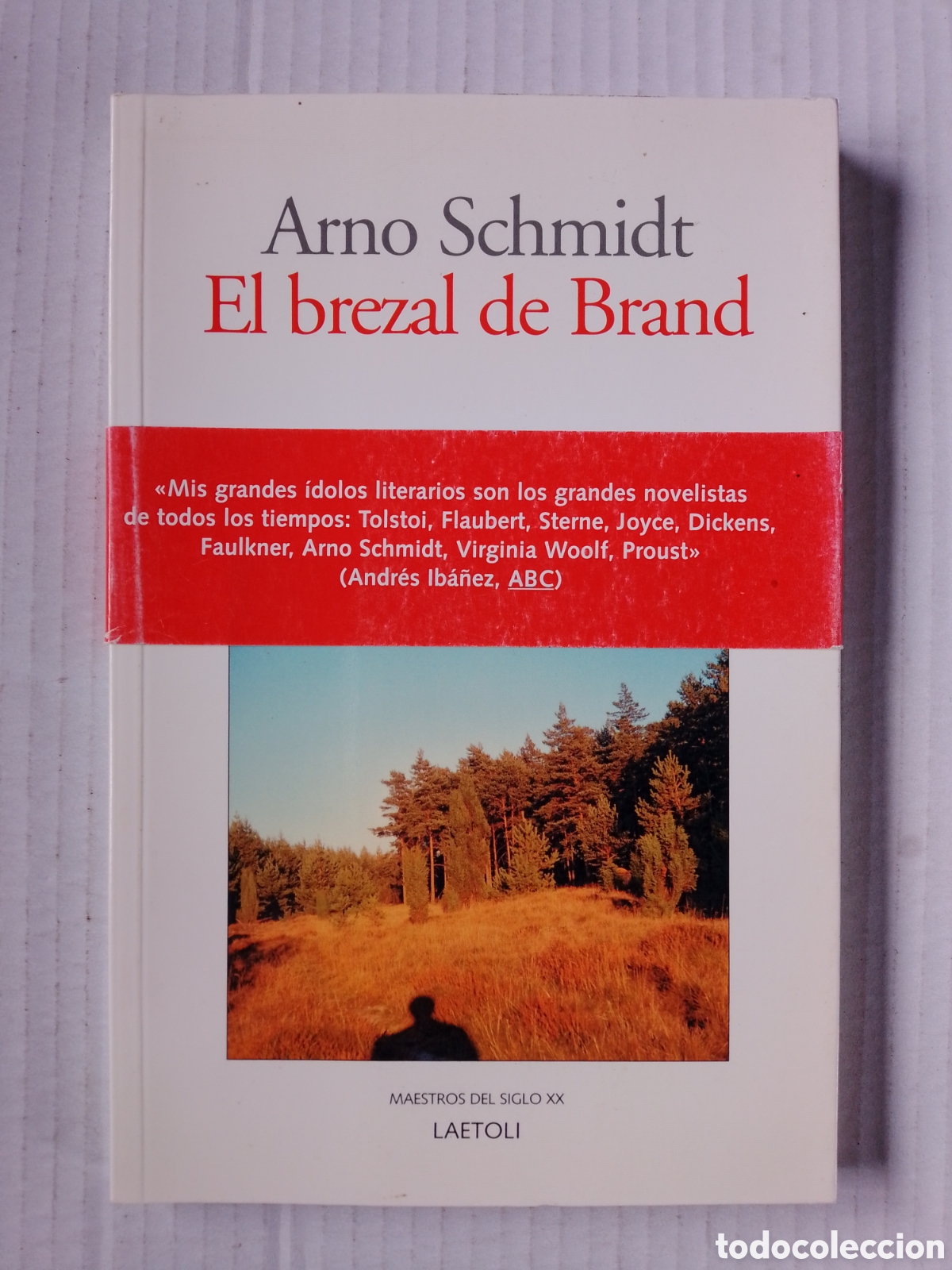 Libros: El BREZAL DE BRAND - ARNO SCHMIDT