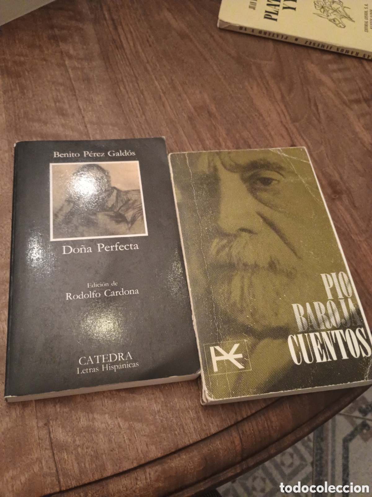 Libros: P&iacute;o Baroja y Do&ntilde;a Perfecta