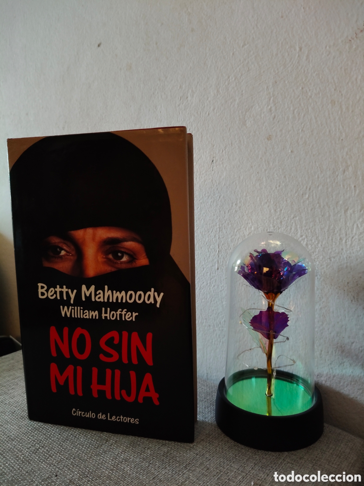 Libros: No sin mi hija de Betty mahmoody y william hoffer