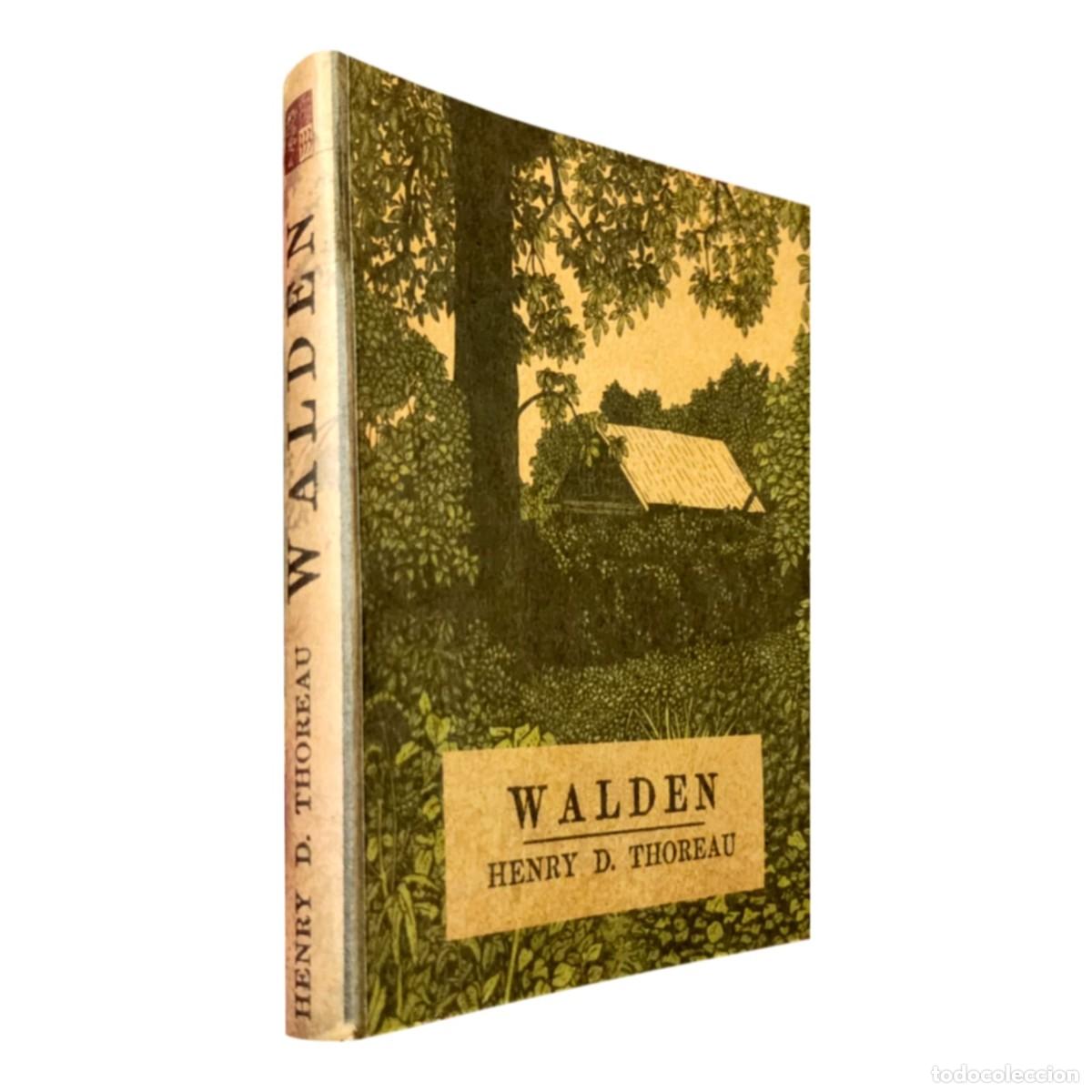 Libros: Henry D. Thoreau &ndash; Walden &ndash; 333 Proyecto Neshi &ndash; LM