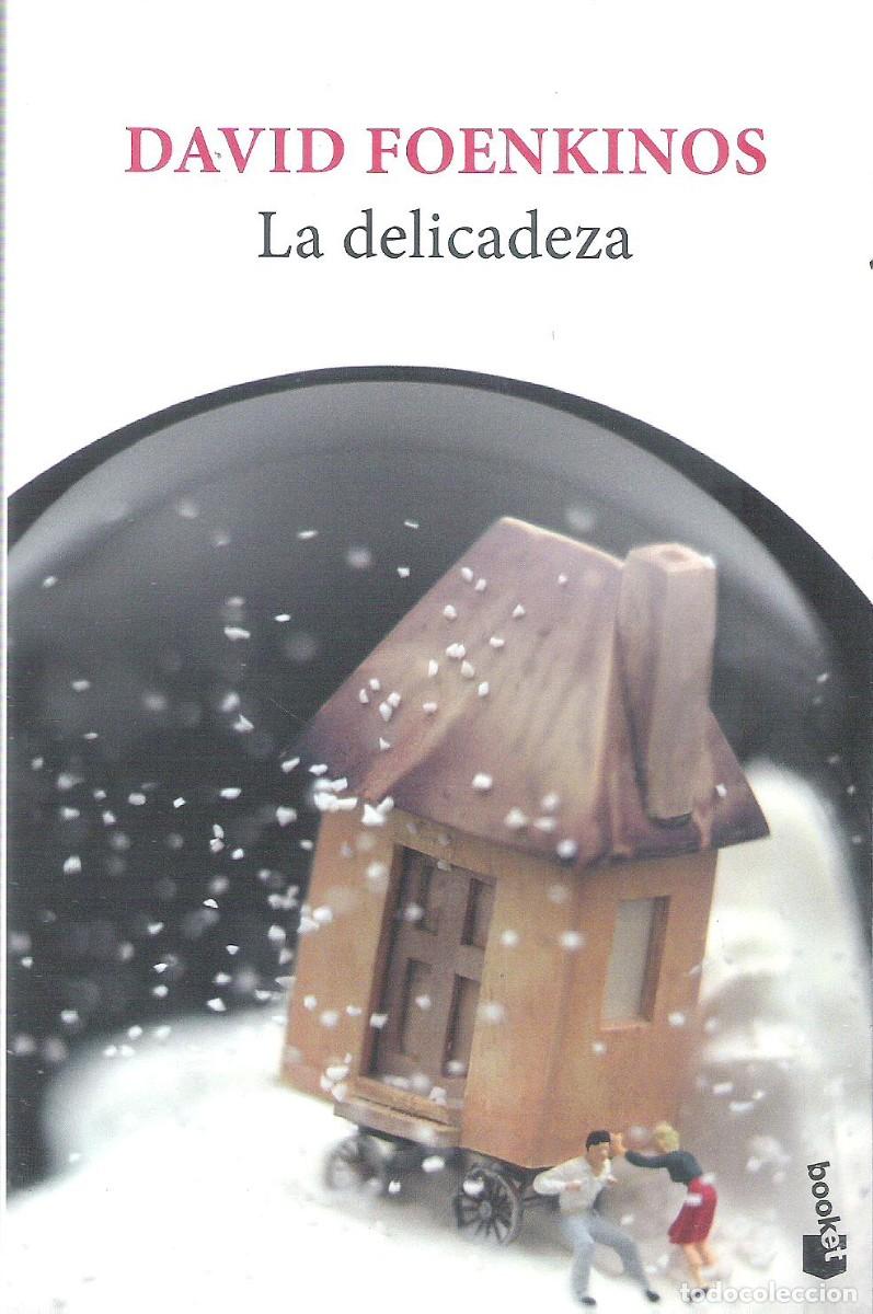 Libros: LA DELICADEZA , David Foenkinos