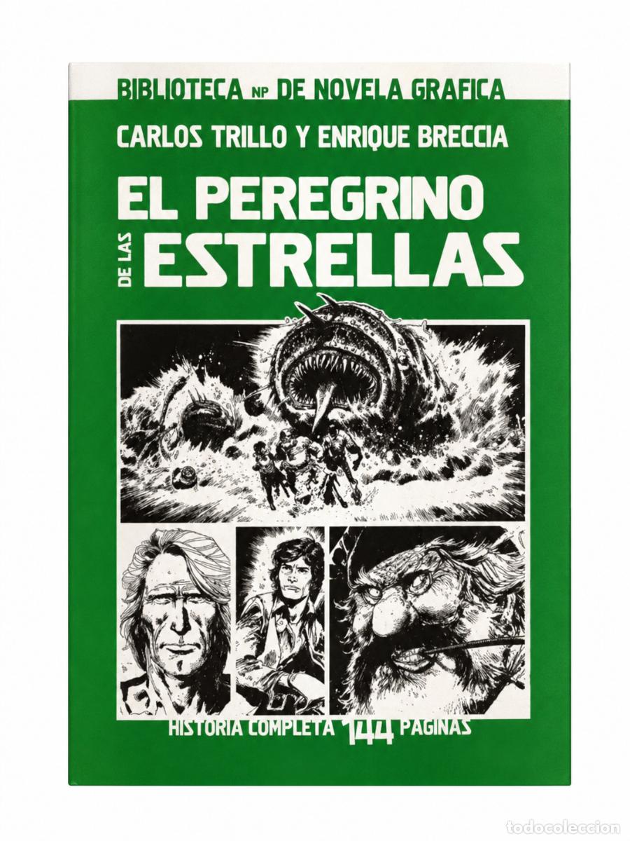 Libros: Carlos Trillo y Enrique Breccia &ndash; El peregrino de las estrellas &ndash; Editorial a confirmar &ndash; LM
