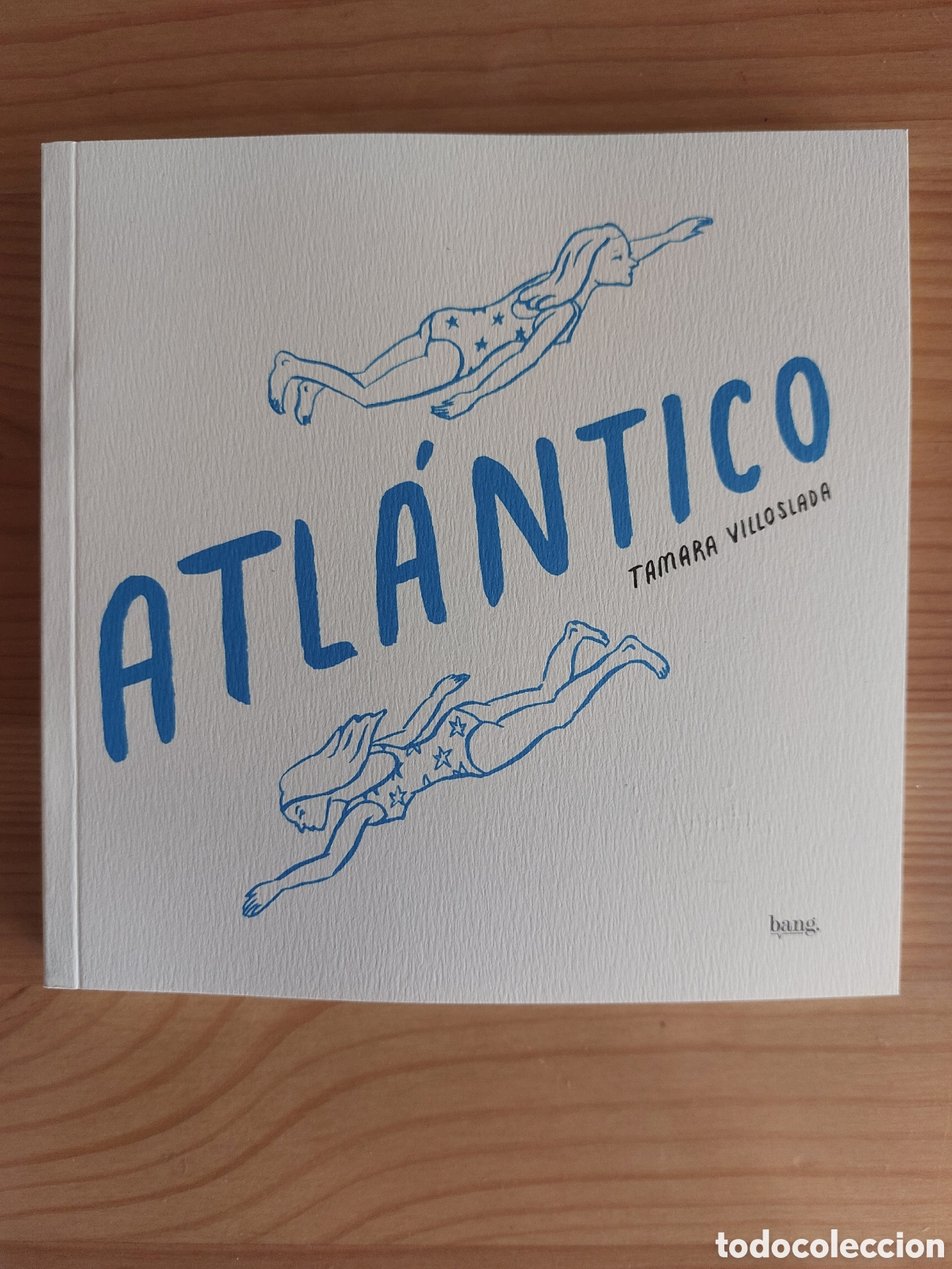 Libros: C&oacute;mic Atl&aacute;ntico. T&aacute;mara Villoslada