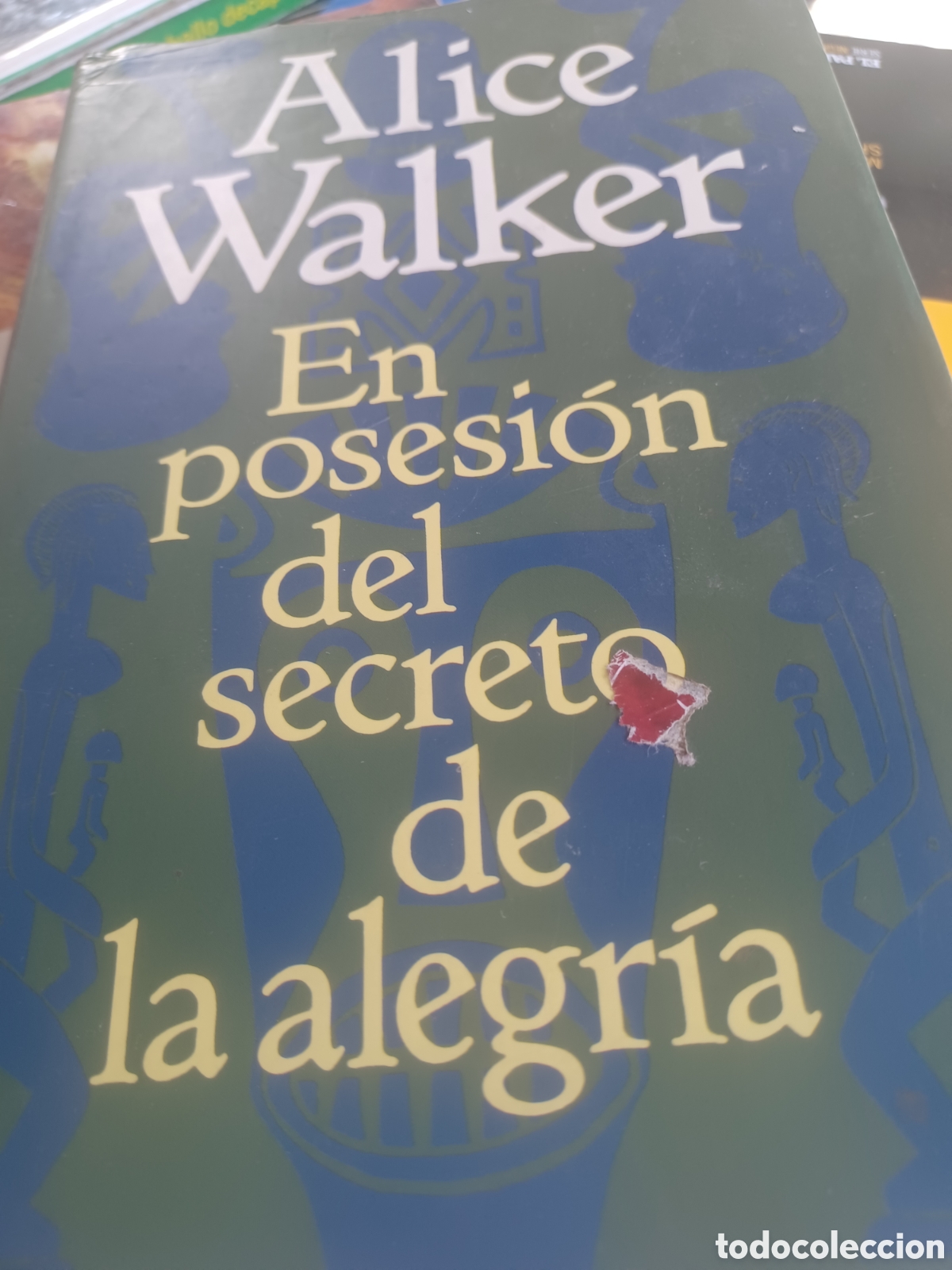 Libros: Barybook 355. en posesi&oacute;n, el secreto de la alegr&iacute;a. Alice walker