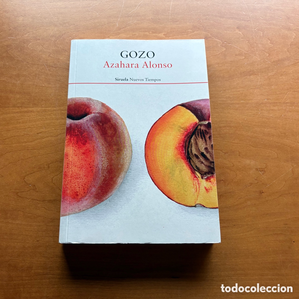 Libros: Libro Gozo Azahara Alonso