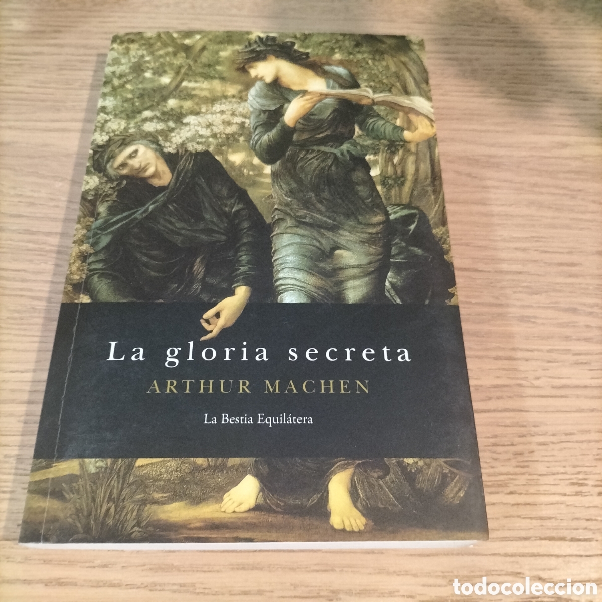 Libros: LA GLORIA SECRETA - ARTHUR MACHEN - EDIT. LA BESTA EQUILATERA - Foto 1