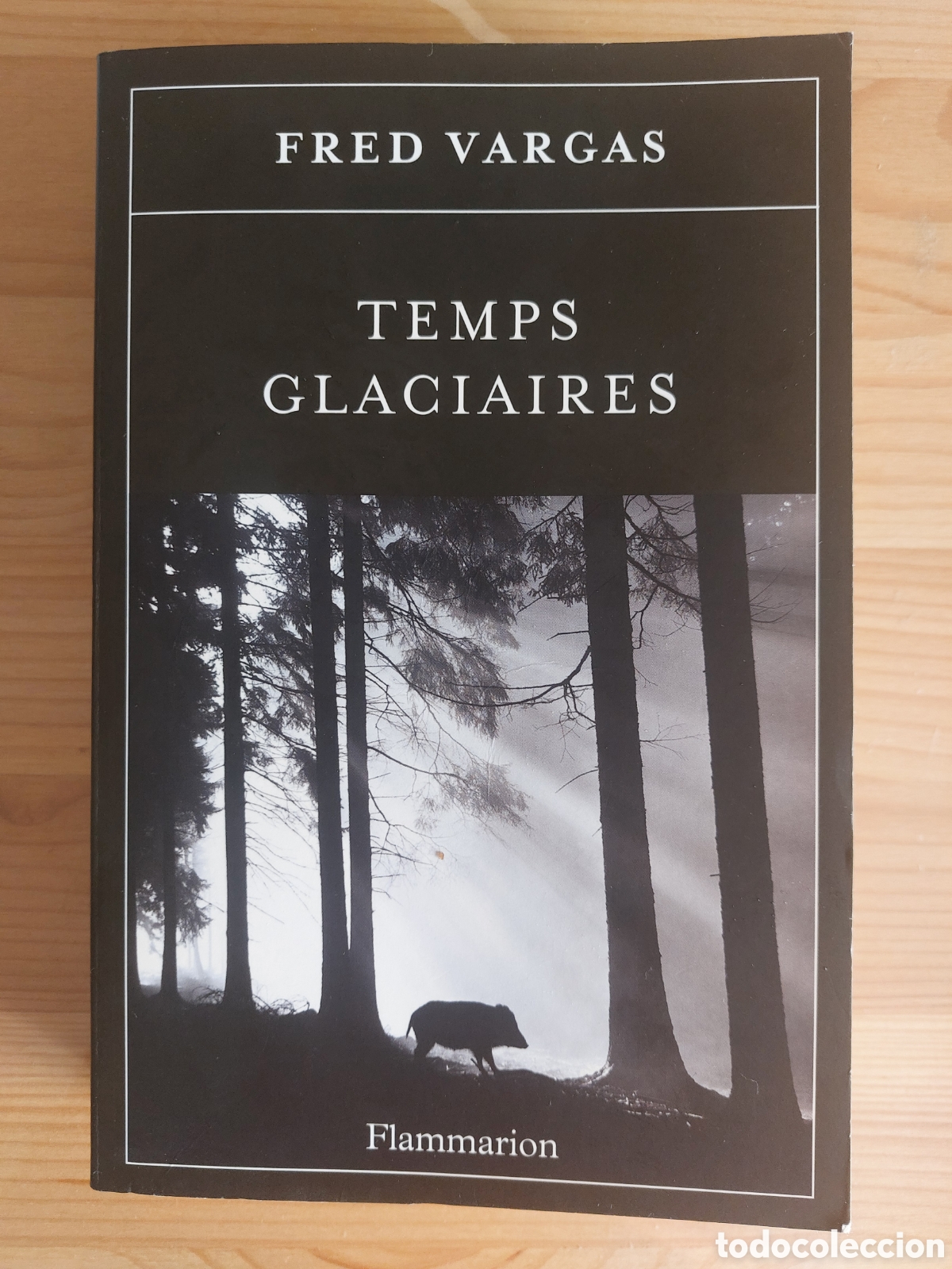 Libros: Temps glaciaires. Fred Vargas - Foto 1