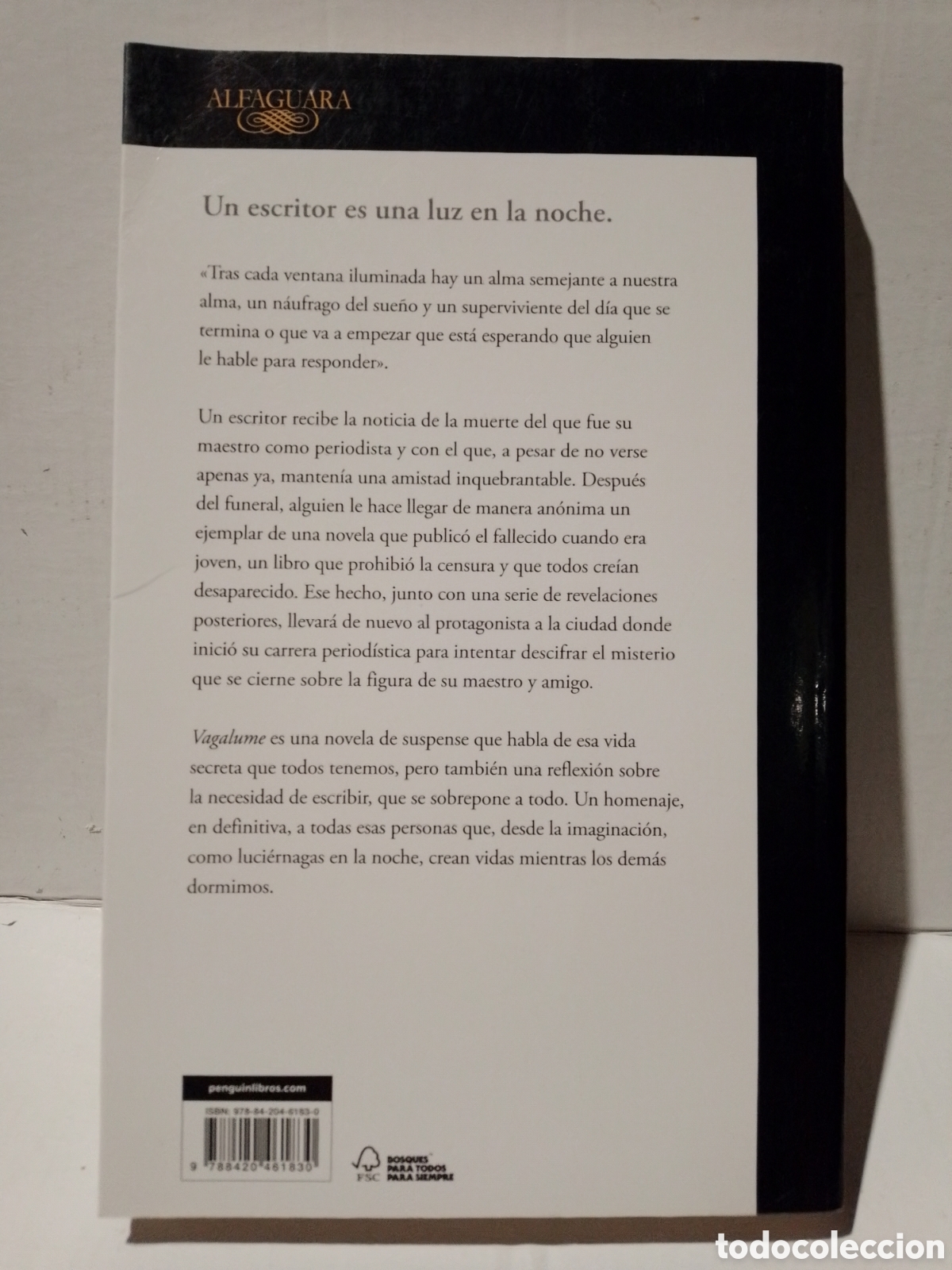 Libros: VAGALUME - JULIO LLAMAZARES - Foto 2