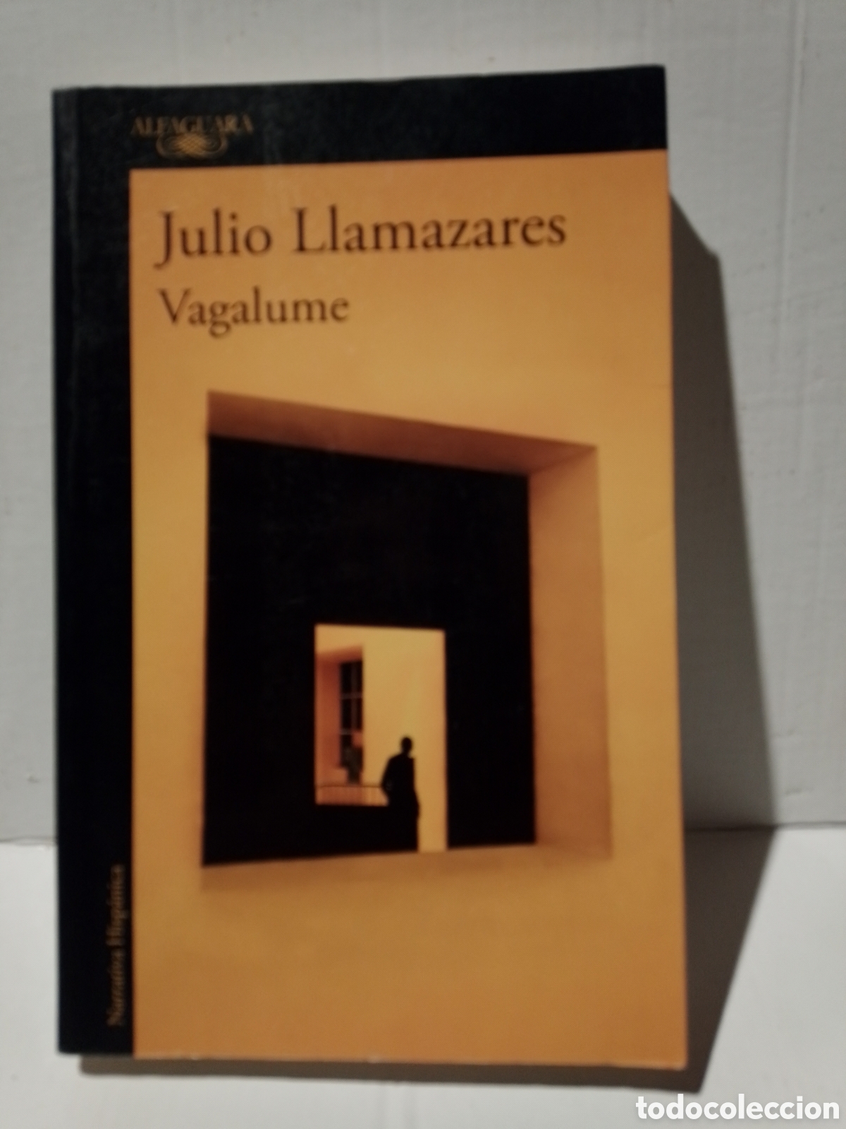 Libros: VAGALUME - JULIO LLAMAZARES - Foto 1