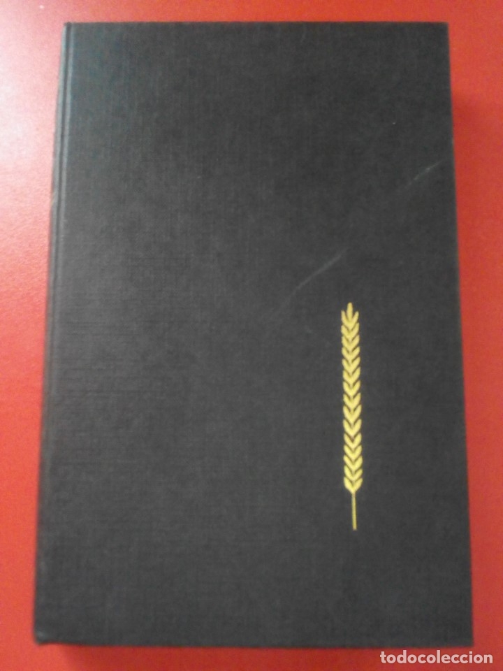 Libros: Bel Ami - Foto 1
