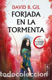 Libros: Forjada en la tormenta - Gil, David B. - Foto 1