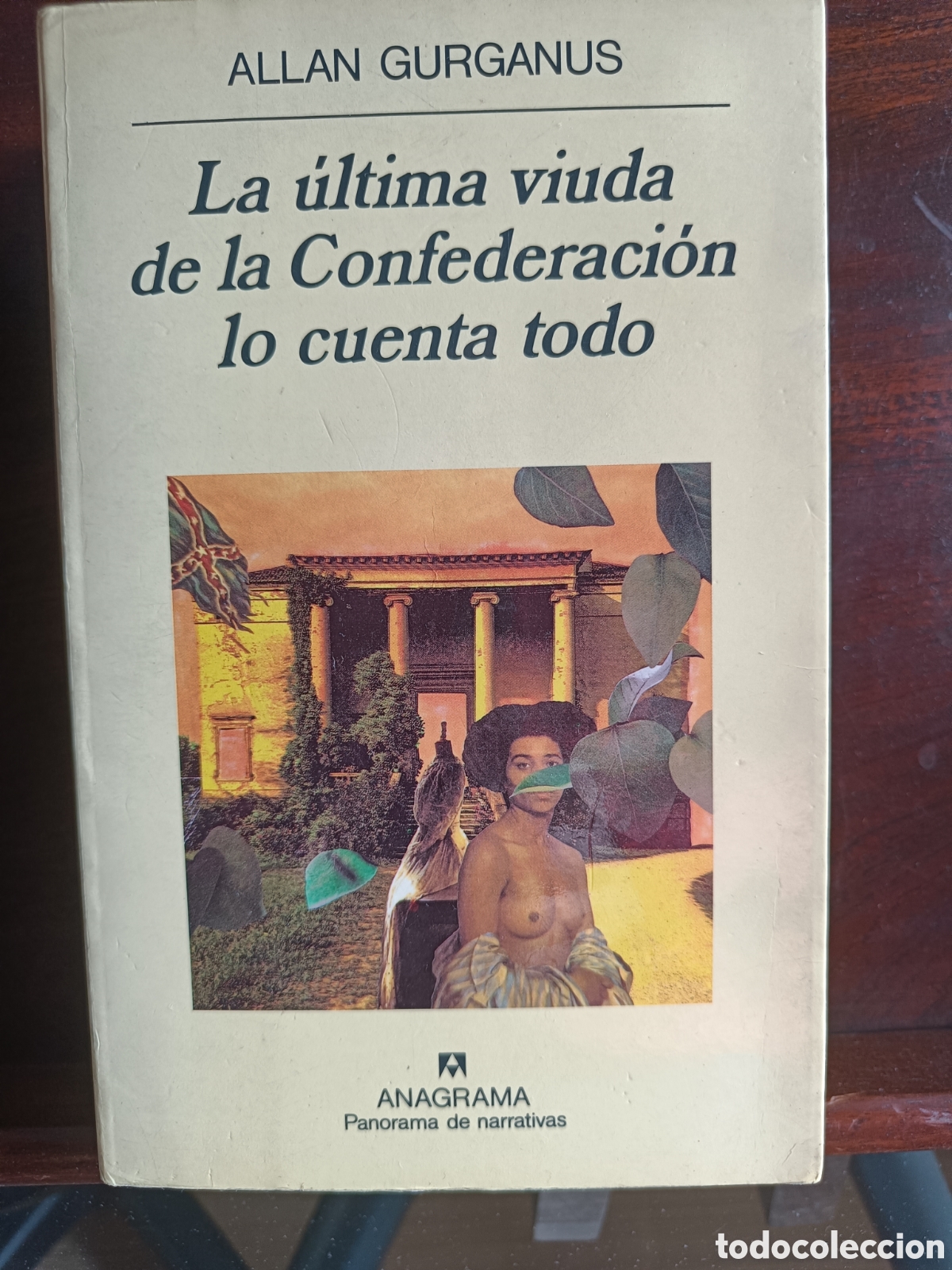 Libros: La &uacute;ltima viuda de la Confederaci&oacute;n lo cuenta todo.ALLAN GURGANUS