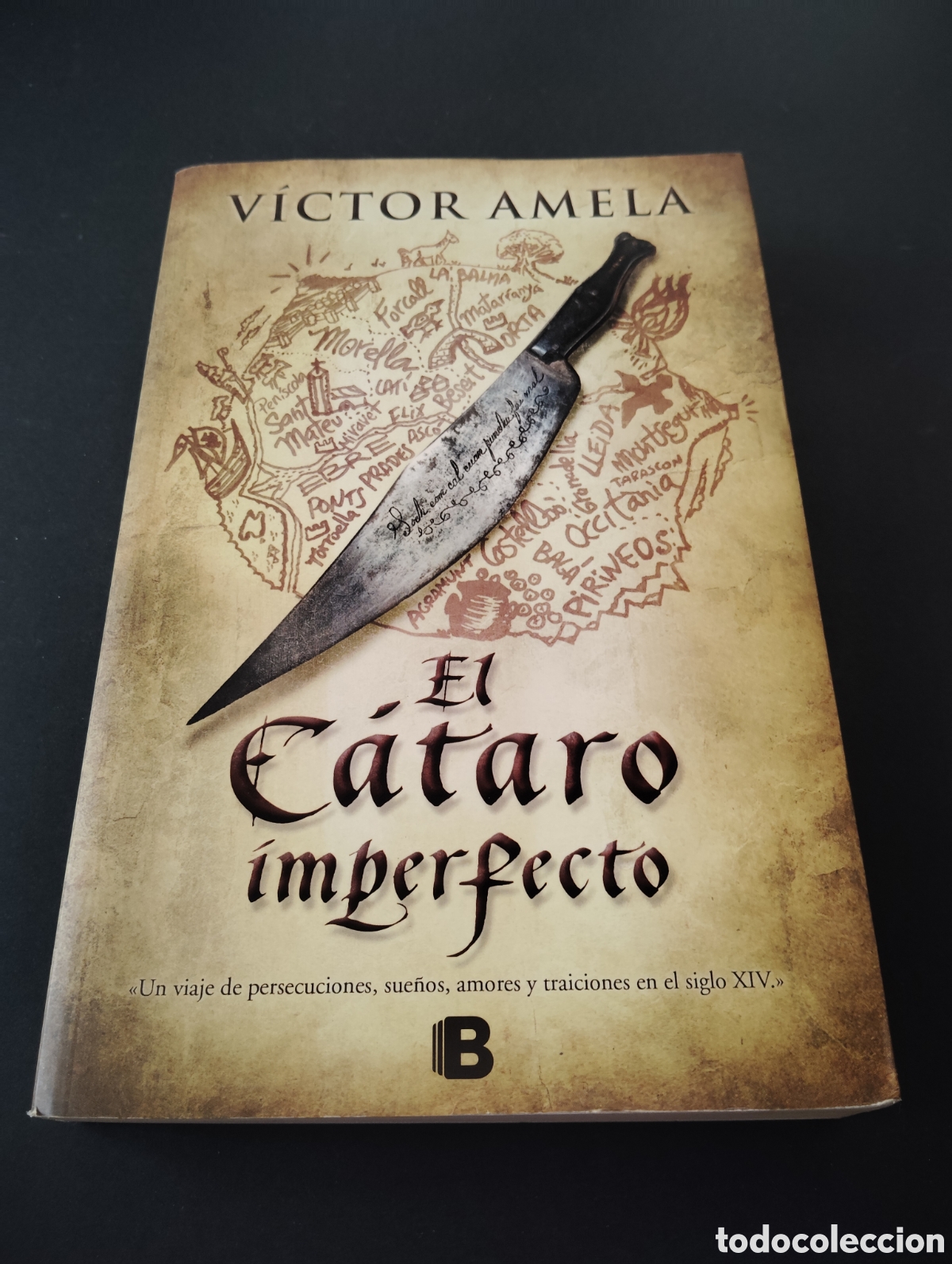 Libros: El c&aacute;taro imperfecto | V&iacute;ctor Amela