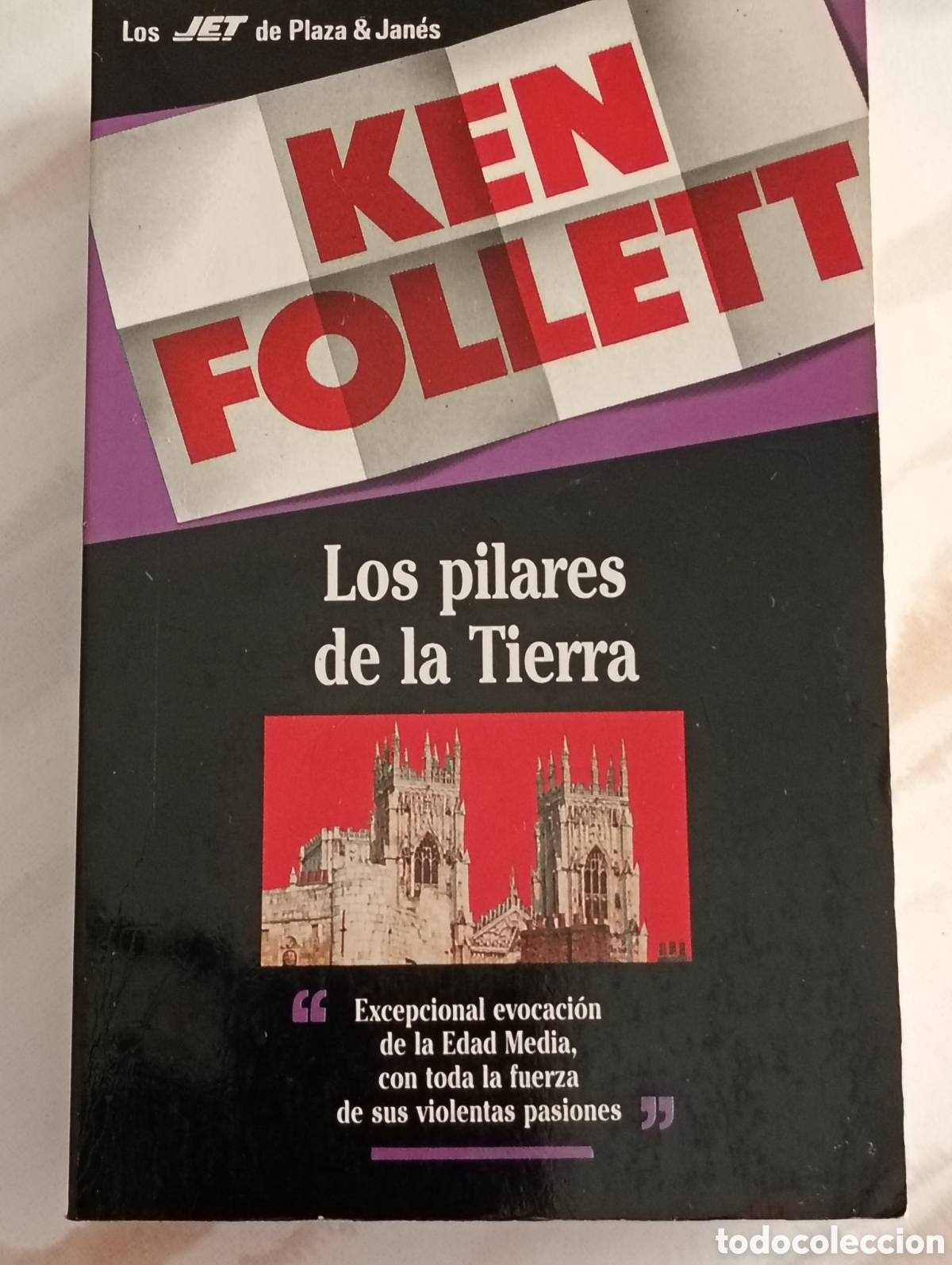Libros: LOS PILARES DE LA TIERRA