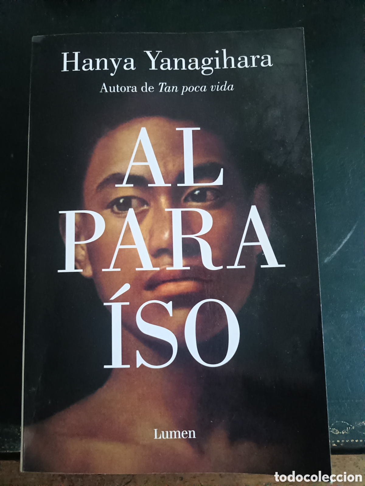 Libros: Al para&iacute;so de Hanya Yanagihara.