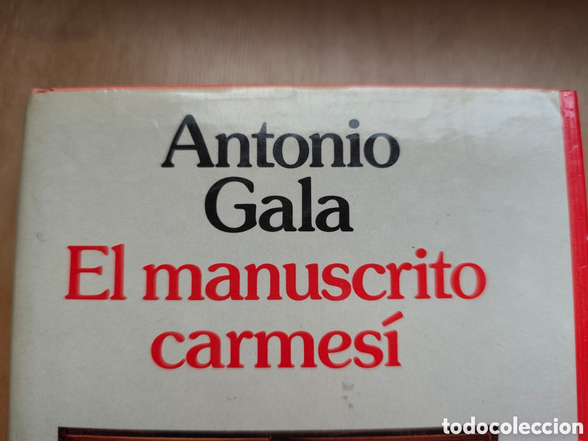 Libros: &rdquo;El manuscrito carmes&iacute;&rdquo; - Foto 5