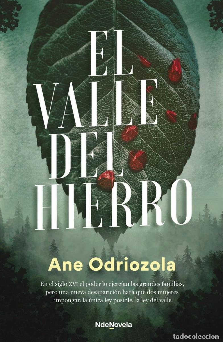 Libros: EL VALLE DEL HIERRO - Foto 1