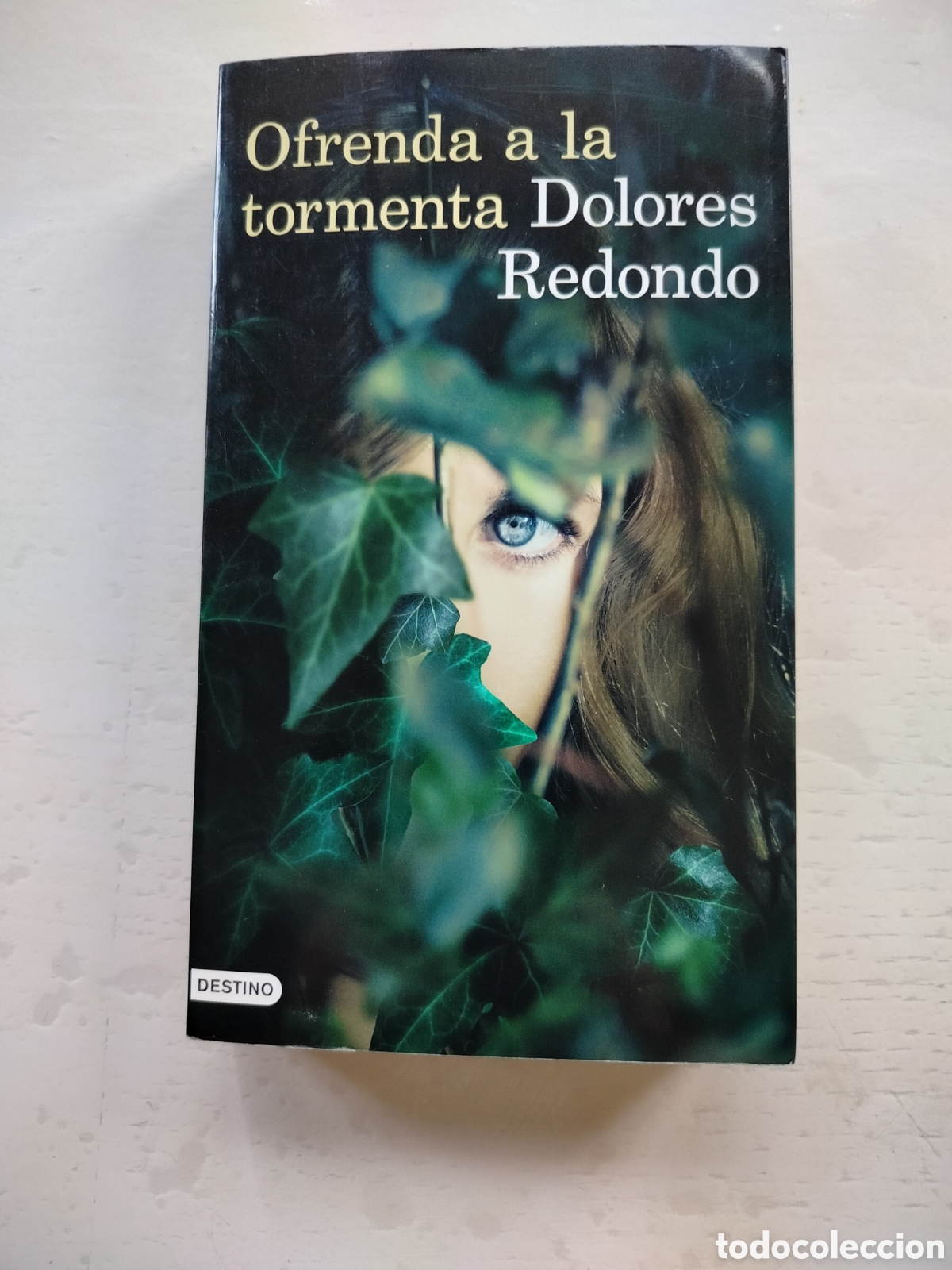 Libros: Ofrenda a la Tormenta - Foto 1