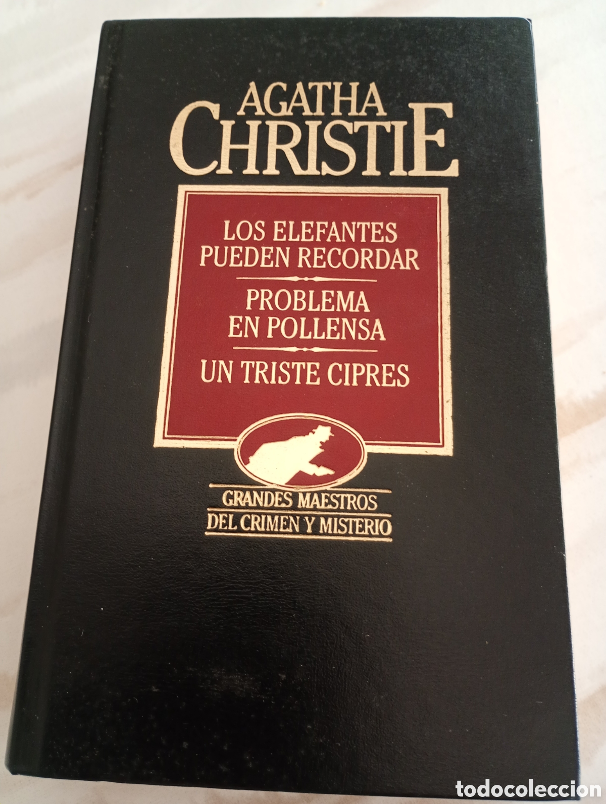 Libros: LOS ELEFANTES PUEDEN RECORDAR