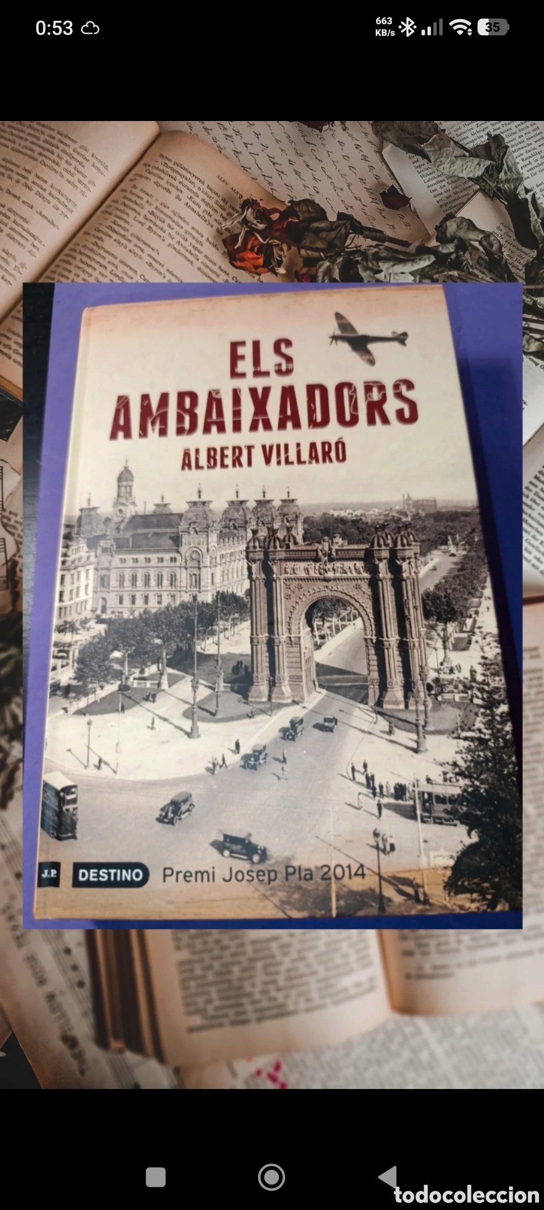 Libros: Els Ambaixadors - Albert Villar&oacute;