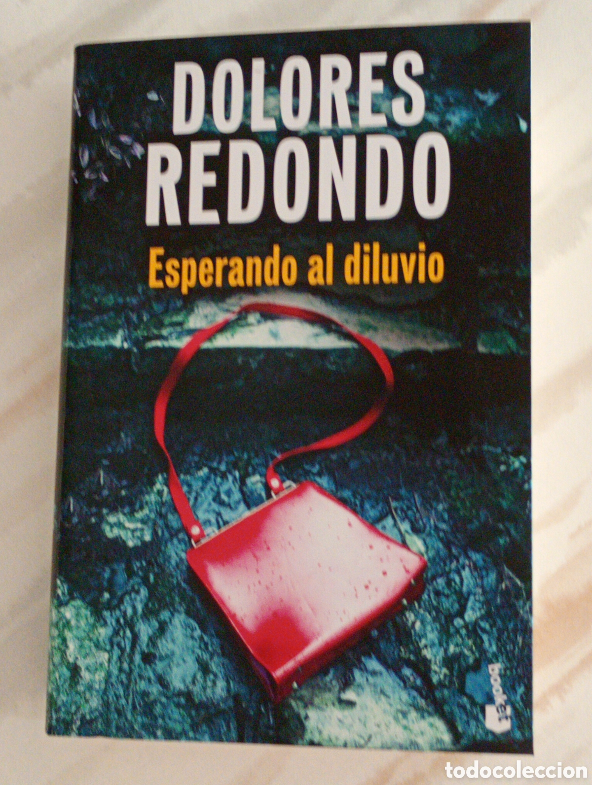 Libros: ESPERANDO AL DILUVIO