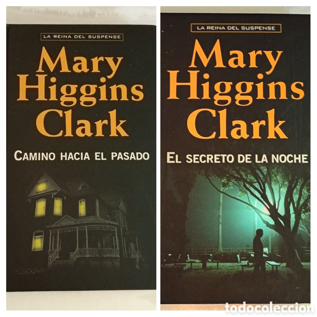 Libros: 2 NOVELAS DE SUSPENSE y MISTERIO