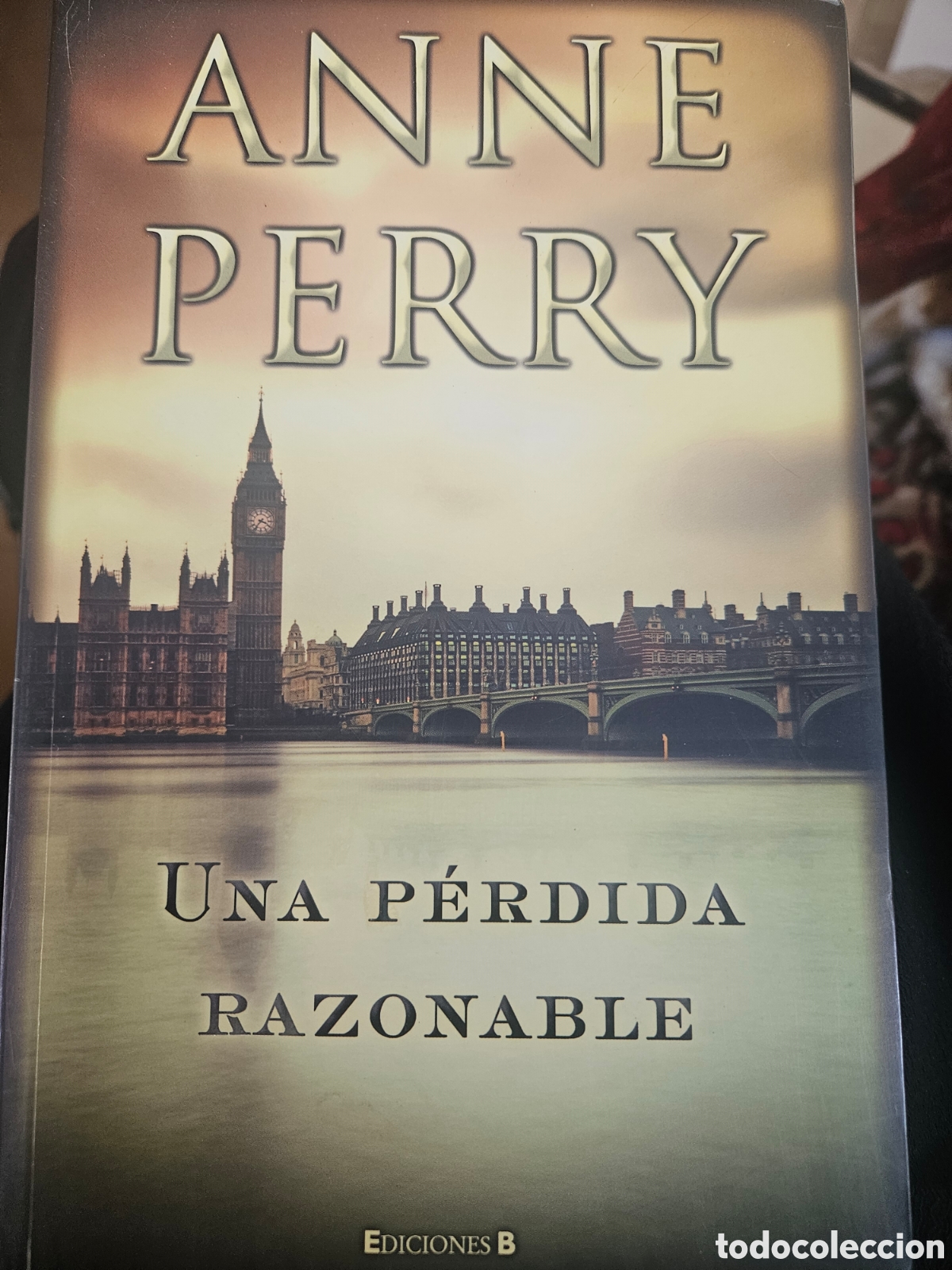 Libros: Una perdida razonable Anne Perry