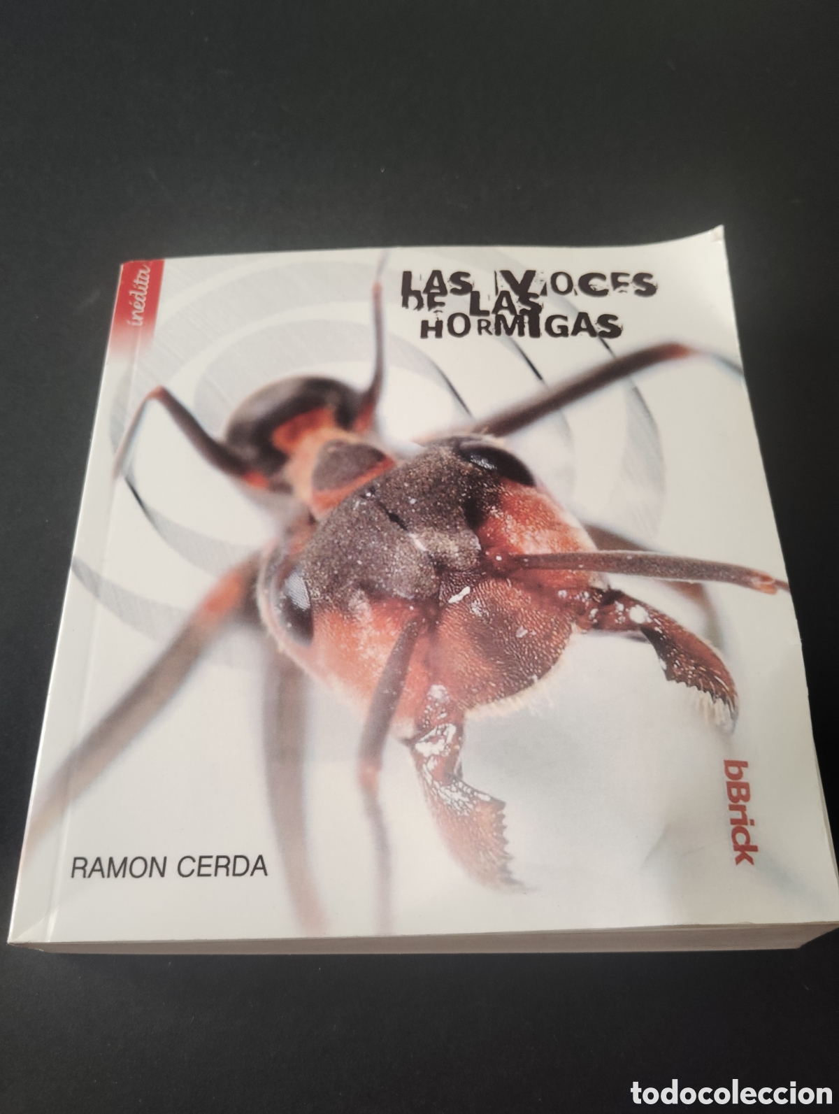 Libros: Las voces de las hormigas - Ram&oacute;n Cerda