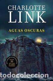 Libros: Aguas oscuras (Kate Linville & Caleb Hale 5) - Link, Charlotte