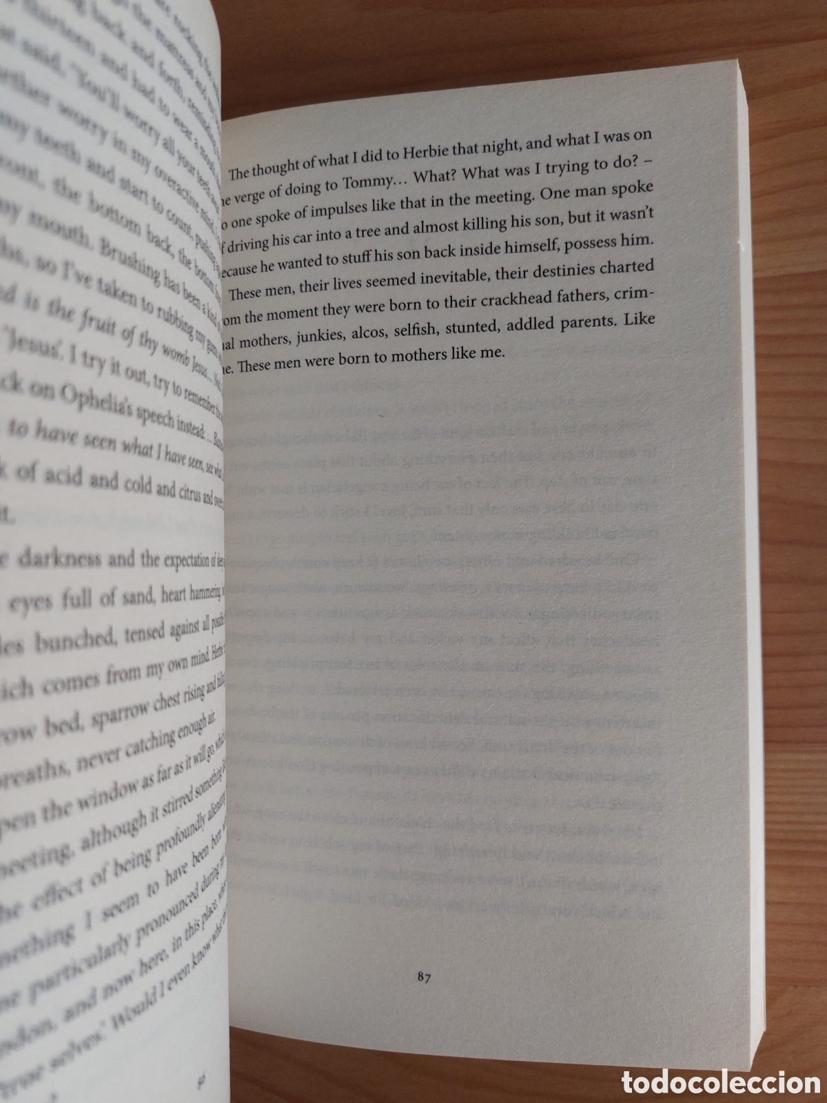 Libros: Bright Burning Things - Foto 3