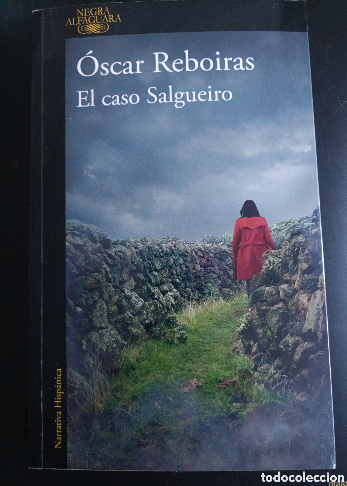 Libros: El caso Salgueiro, de &Oacute;scar Reboiras.