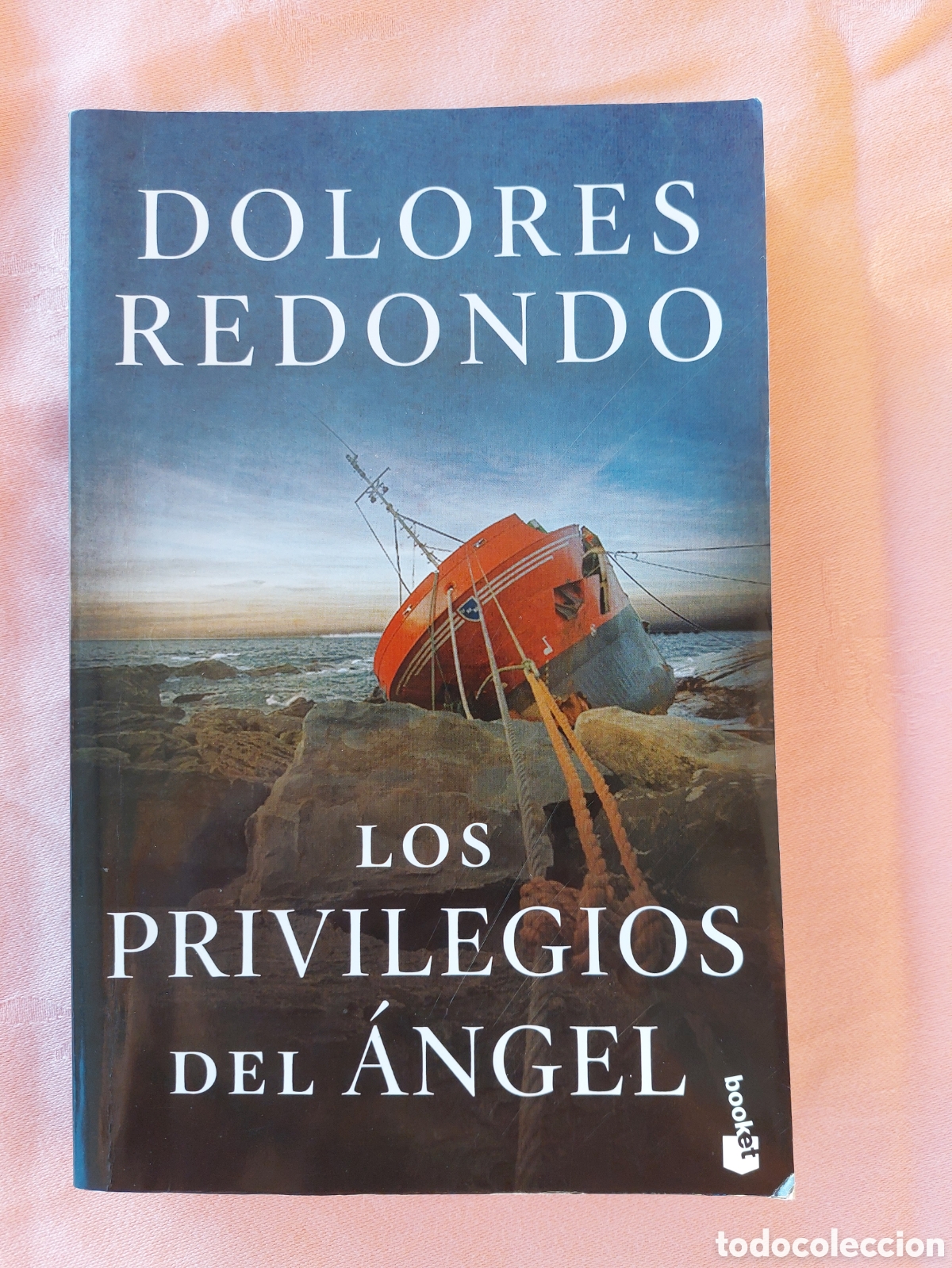 Libros: Los privilegios del &aacute;ngel. Dolores Redondo