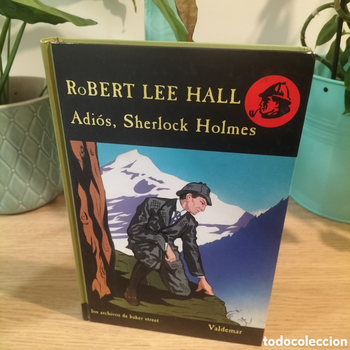 Libros: ADIOS, SHERLOCK HOLMES - ROBERT LEE HALL - VALDEMAR LOS ARCHIVOS DE BAKER STREET 13 - AGOTADO NUEVO