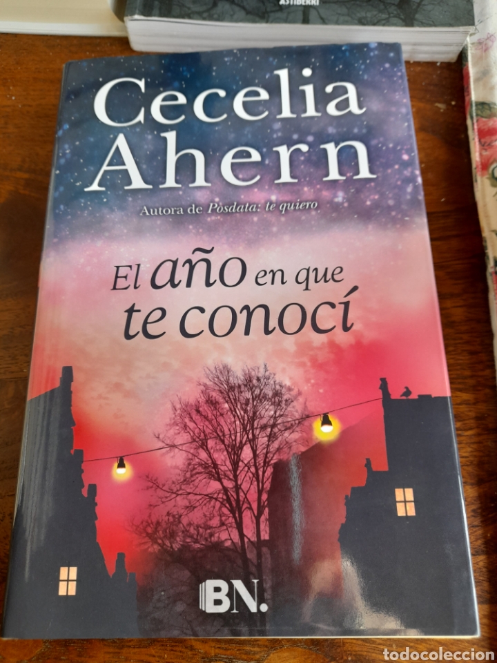 Libros: El a&ntilde;o en que te conoc&iacute;. Cecilia Ahern - Foto 1
