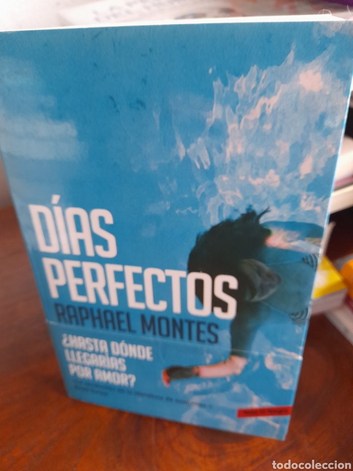 Libros: D&iacute;as perfectos. Raphael Montes - Foto 3
